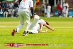 DSC8556